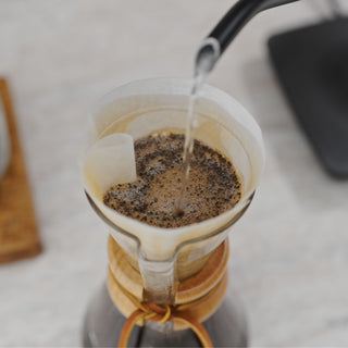 AIVIQ Precision Pour 0,8L Schwanenhals-Wasserkocher – AWK-G451