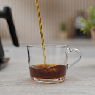 AIVIQ Precision Pour 0,8L Schwanenhals-Wasserkocher – AWK-G451