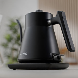 AIVIQ Precision Pour 0,8L Schwanenhals-Wasserkocher – AWK-G451