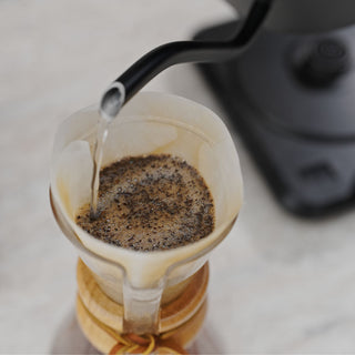 AIVIQ Precision Pour Pro 1,0L Schwanenhals-Wasserkocher – AWK-G751