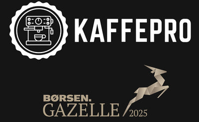 Auszeichnung Børsen Gazelle 2025